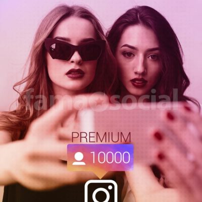 10000 Seguidores Premium para instagram